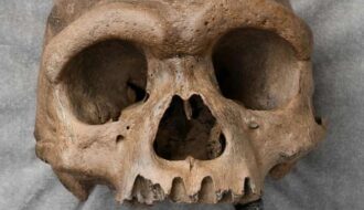 Bí ẩn hộp sọ cổ đại kỳ lạ phát hiện ở Trung Quốc