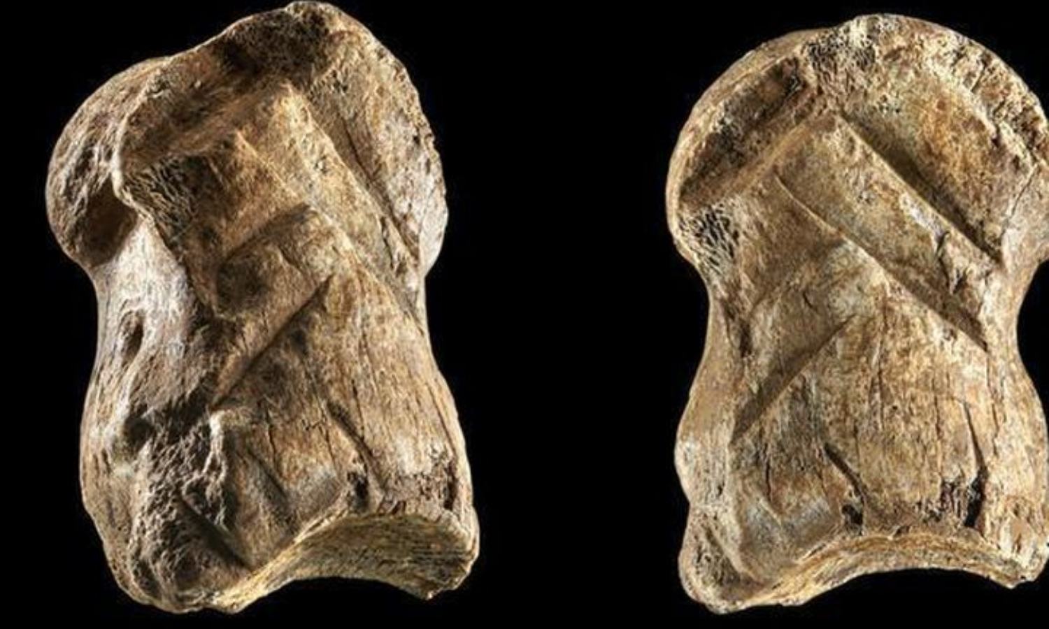 Mảnh xương được xem là một trong những tác phẩm lâu đời nhất trên thế giới