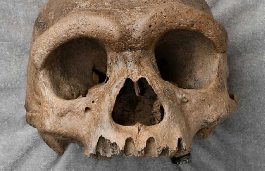 Các nhà khoa học đặt ra giả thuyết người sự xuất hiện của người Neanderthal