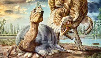 Tin nóng: Phát hiện hóa thạch khủng long oviraptorosaur tại Trung Quốc